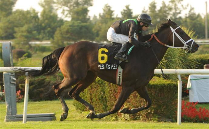 Yes It's Red and jockey David Moran. Michael Burns Photo